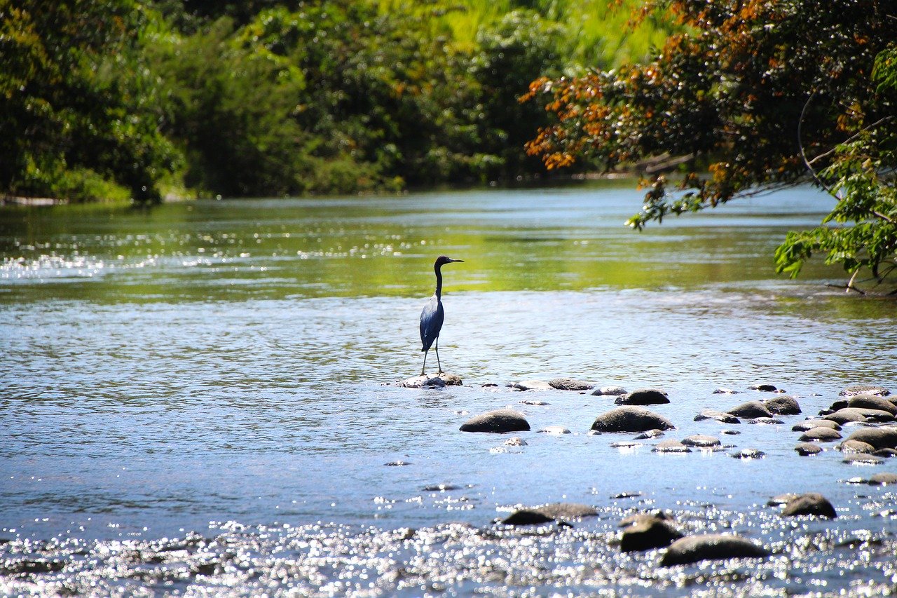 Costa Rica entre finalistas a premio medioambiental creado por el príncipe Guillermo