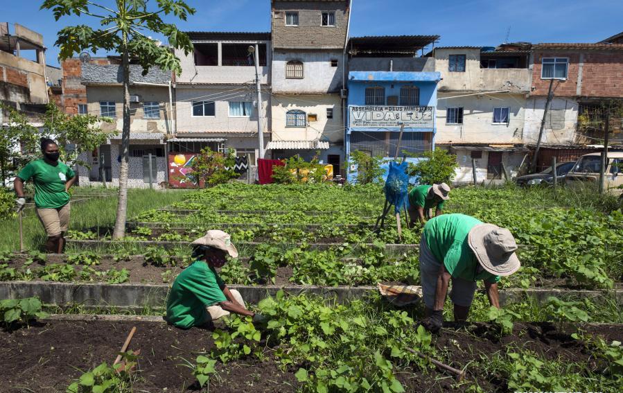 Niños peruanos aprenden a crear huertos orgánicos a través de un taller