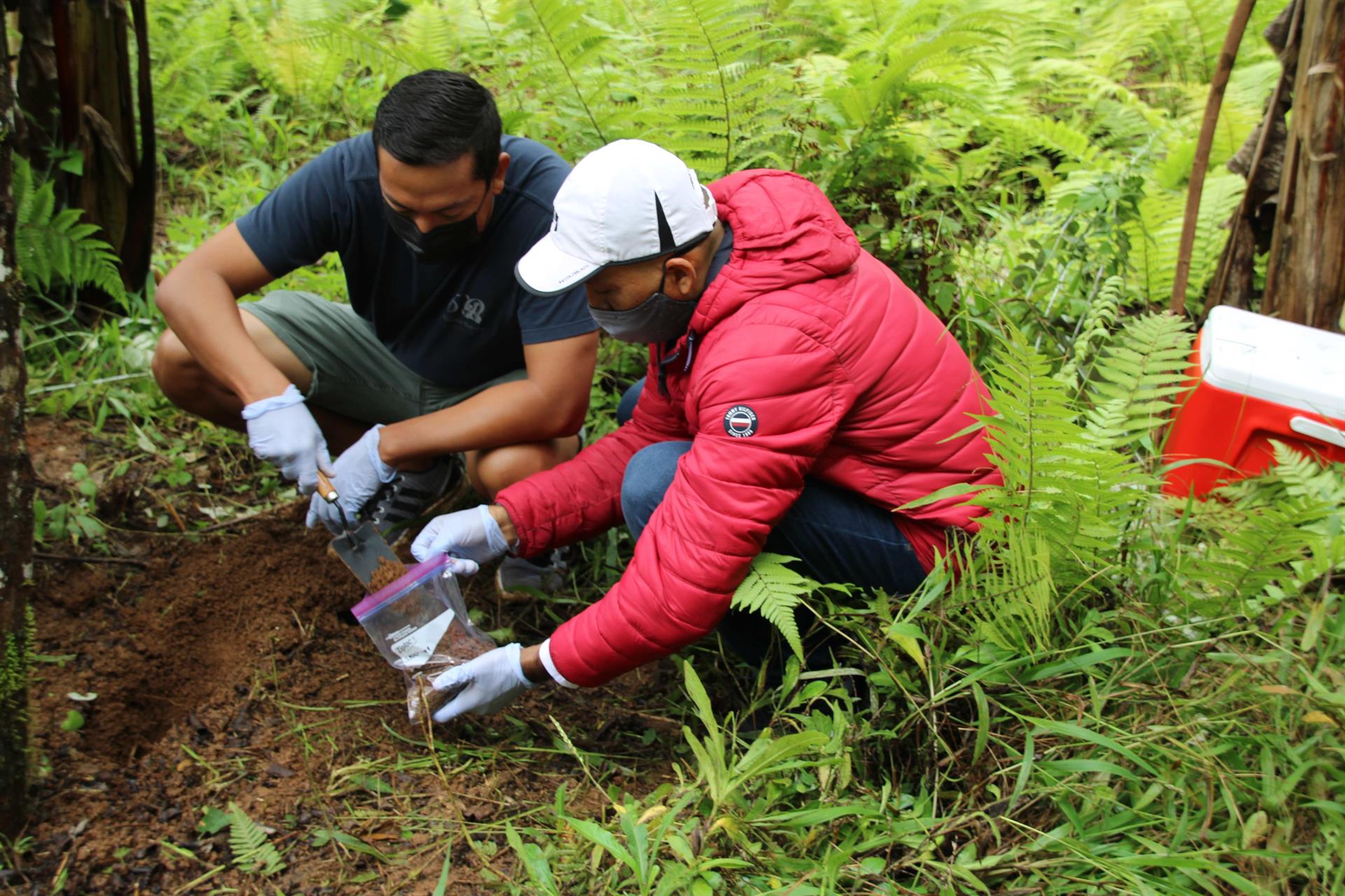 Científicos buscan descifrar el catálogo genético de Galápagos