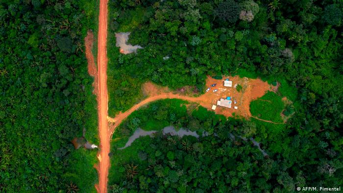 Facebook prohíbe la venta de tierras protegidas en la Amazonía en sus plataformas