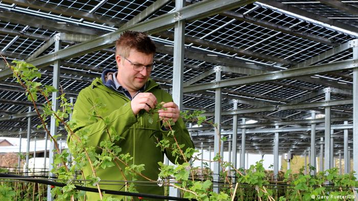 Los agricultores cosechan el doble con energía solar