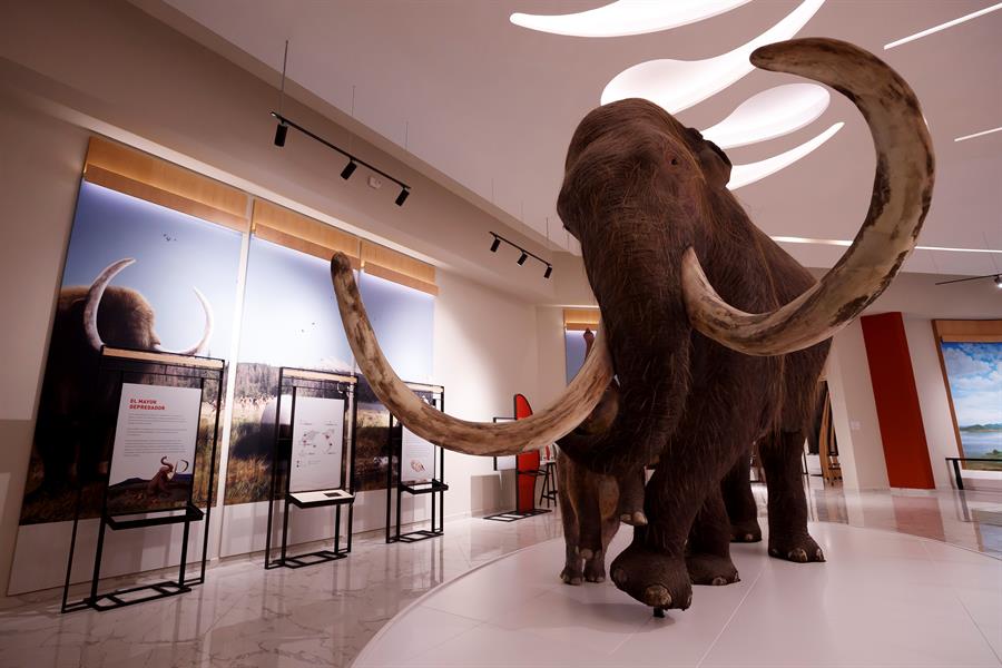 Museo del Mamut, joya paleontológica dentro del nuevo aeropuerto de México