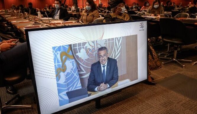 La OMS presenta su nuevo equipo de expertos para investigar nuevos patógenos