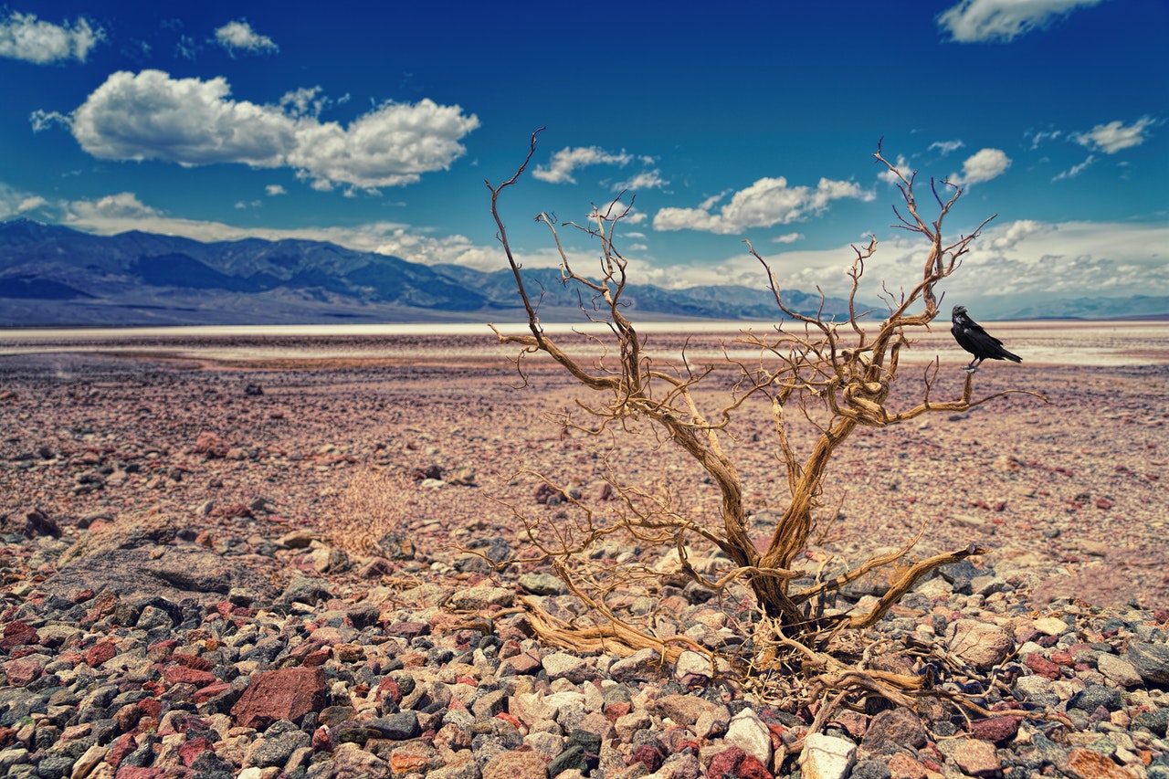 Más de 5.000 millones de personas tendrán dificultades para acceder al agua en 2050