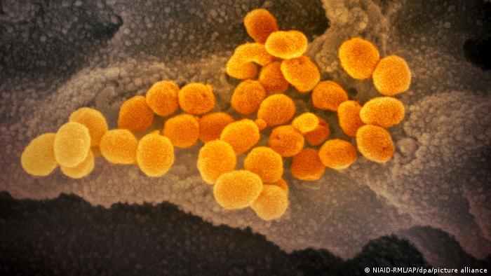 Confirman variante omicron en cinco países de Europa