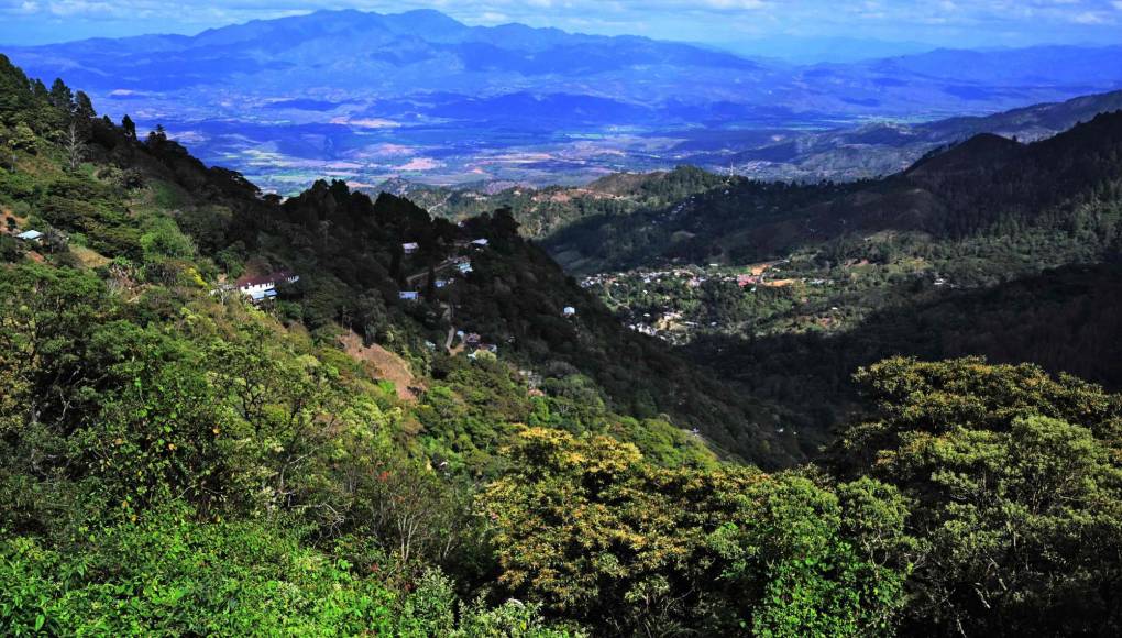 Guatemala y Honduras lanzan corredor de conservación biológico