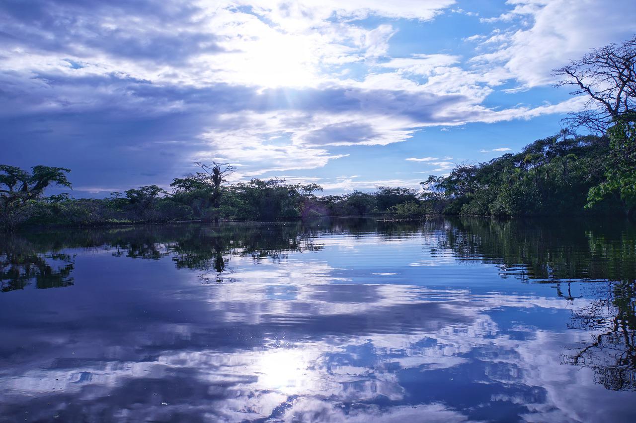 Lanzan Observatorio Regional de la Amazonia