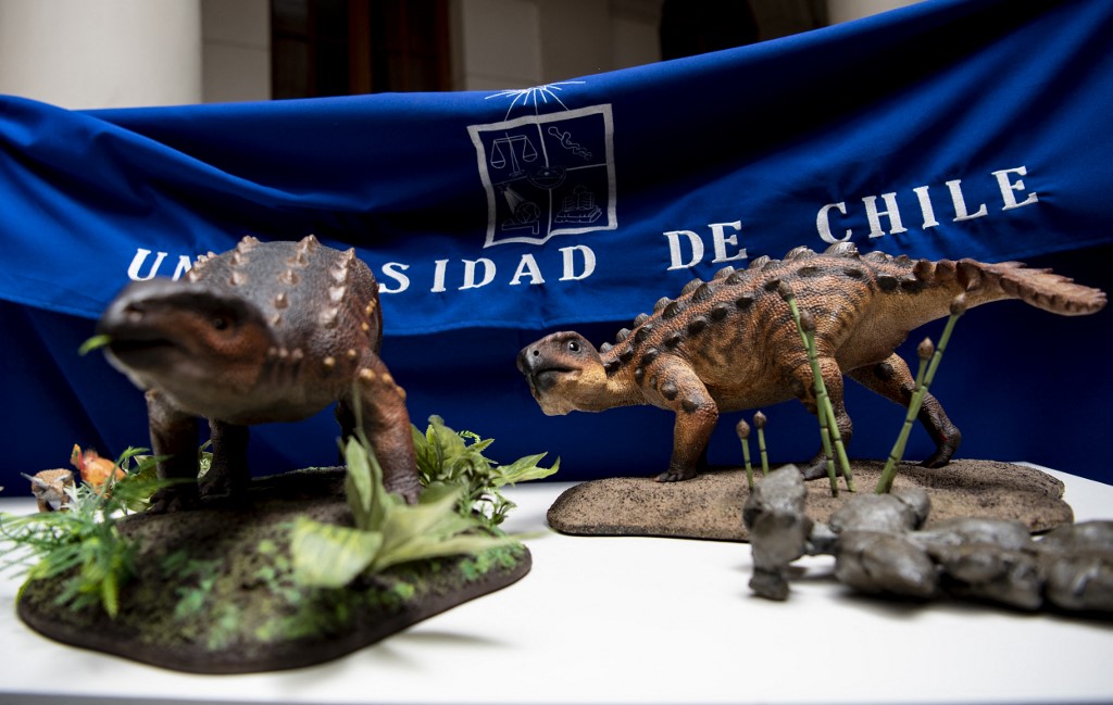 El «Stegouros», el dinosaurio descubierto en Chile con una cola que desconcierta a científicos