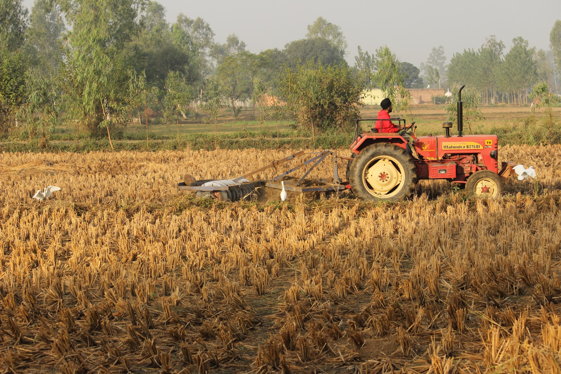 En 10 años, el cambio climático podría afectar la agricultura mundial