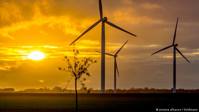 Energía eólica y solar: ¿dónde conviene utilizarlas?