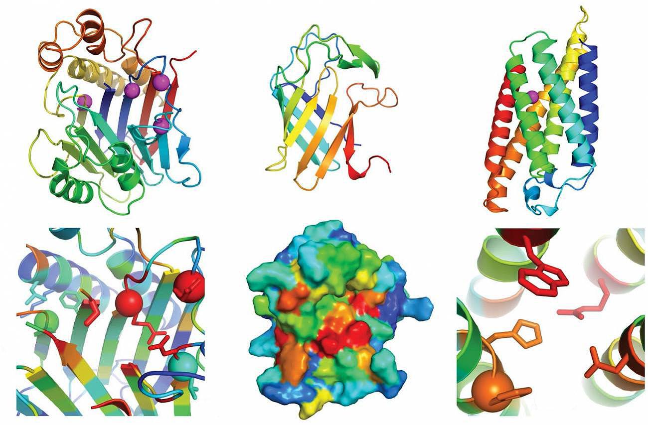 Estos son los avances científicos más importantes de 2021 según la revista ‘Science’