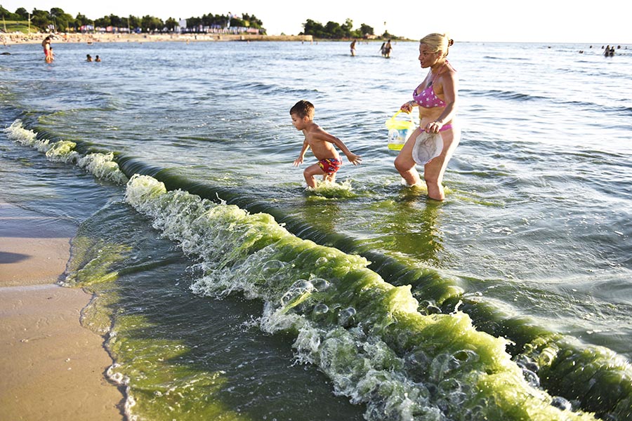 El fósforo, un gran contaminante de las aguas de Uruguay