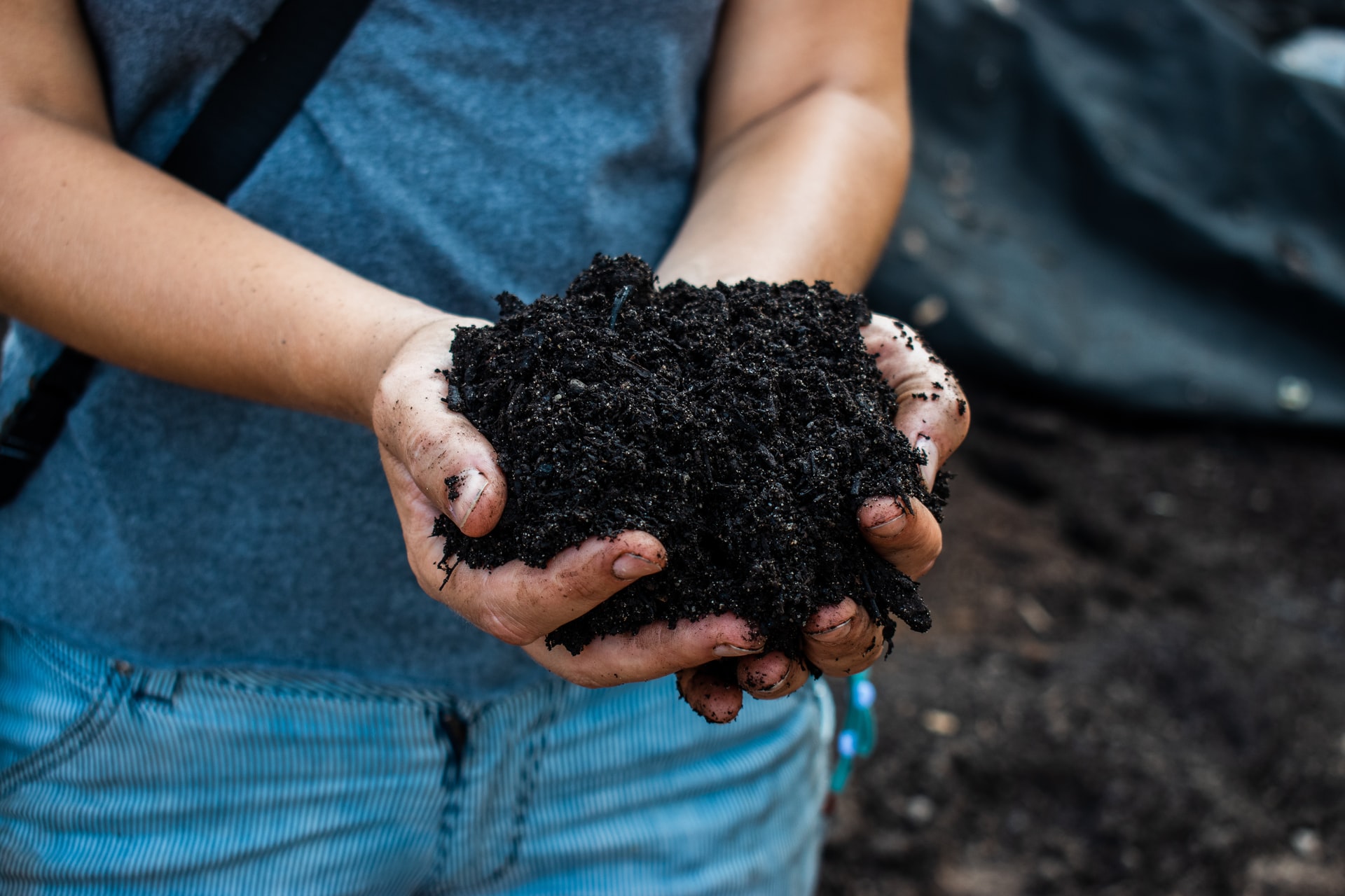 Xochimilco ejemplifica la importancia de impulsar la agroecología