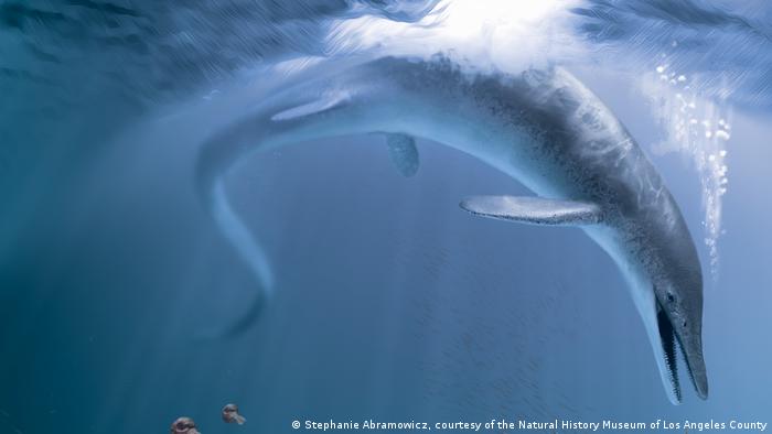 «Primer gigante» de la Tierra era un reptil oceánico con cráneo colosal de dos metros