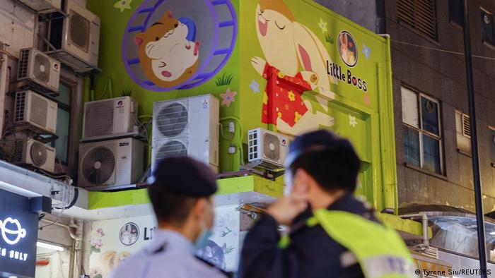 Hong Kong sacrificará a miles de hámsters por casos de COVID-19 en mascotas