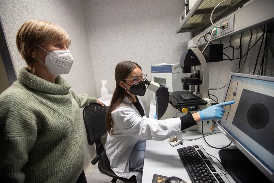 Descubren cómo funciona la primera línea de defensa contra el cáncer de piel