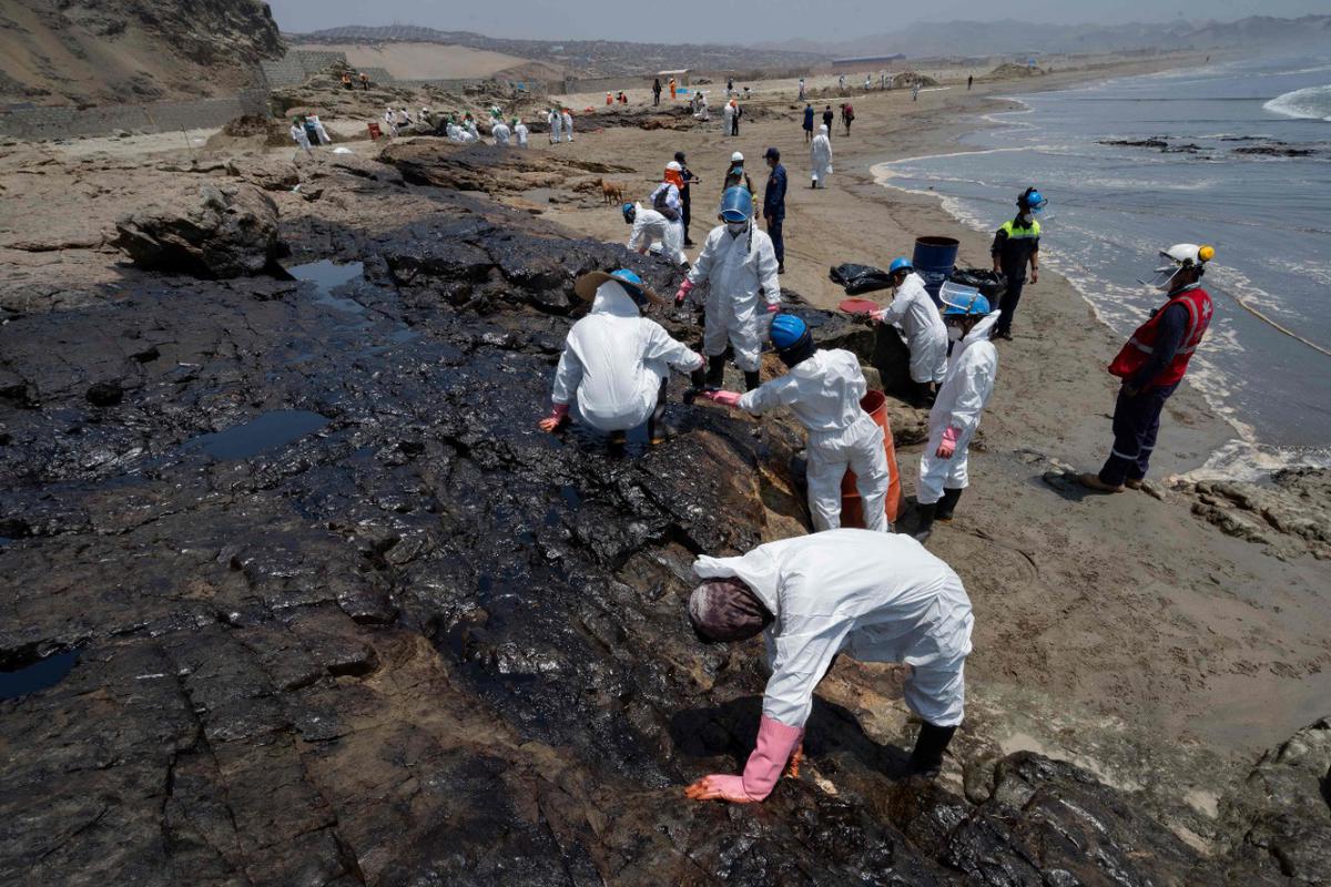 Playas y fauna marina afectadas en Perú por derrame petrolero