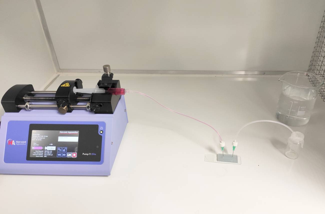 Desarrollado un biochip que abarata la fabricación de piel humana en laboratorio