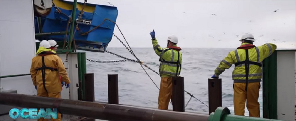 Investigar en el fondo marino, clave para asegurar el futuro de los mares y la pesca