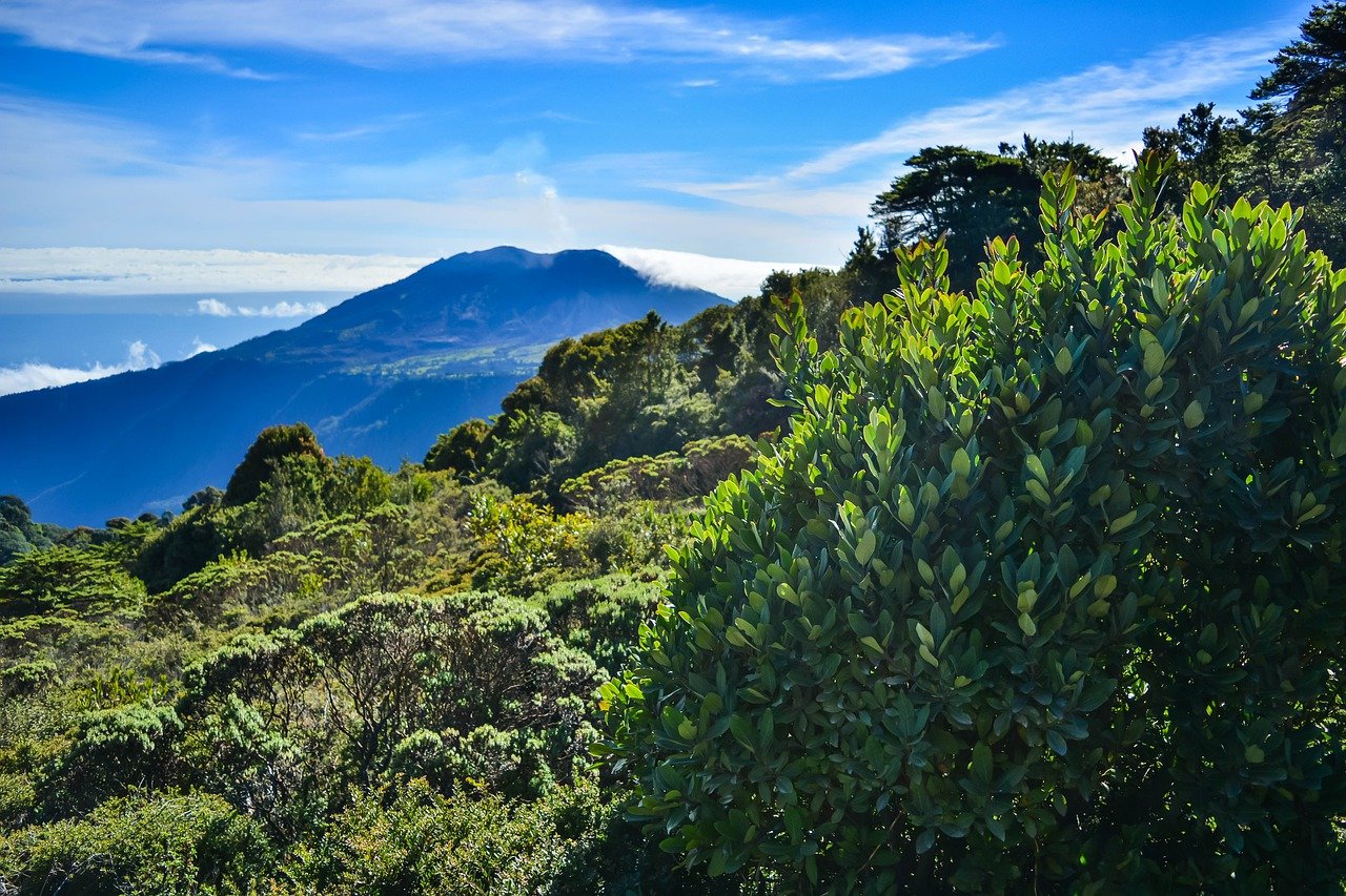 Primer fondo verde de Costa Rica busca ser ejemplo para proyectos sostenibles