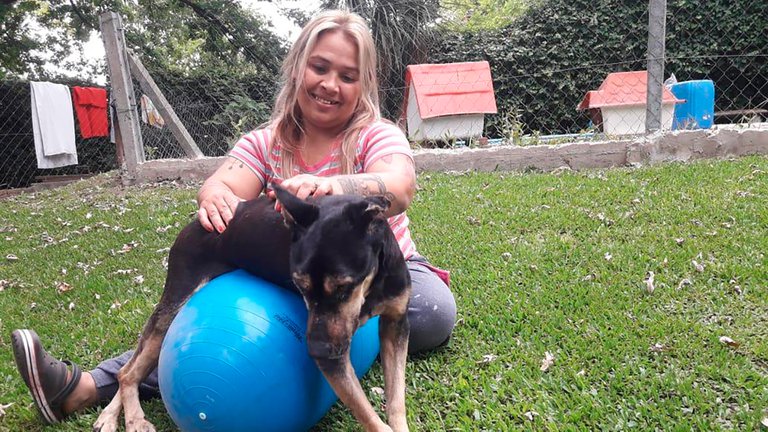 Terapias alternativas para animales abandonados en un refugio argentino