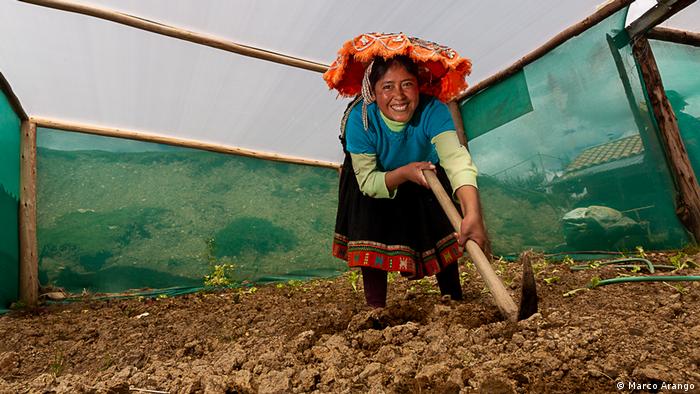 Campesinas peruanas emplean técnicas milenarias para «cosechar» agua