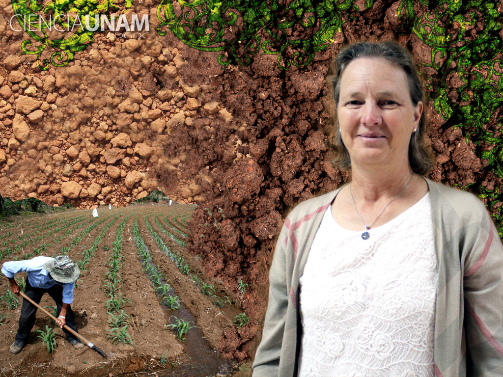 Christina Siebe: el impacto de las actividades humanas en el suelo