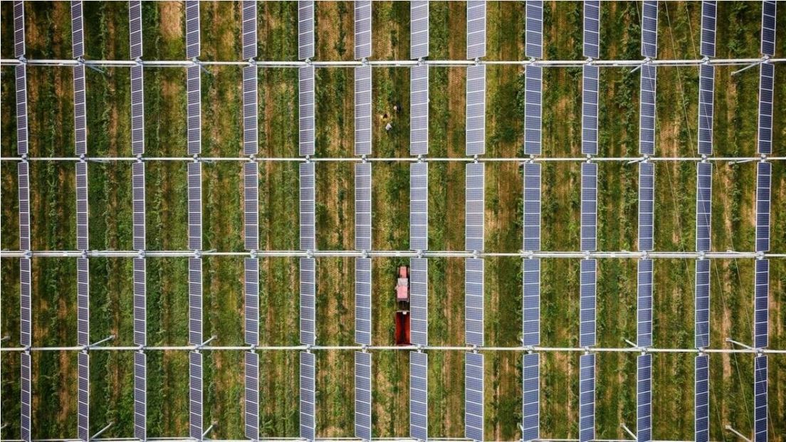 Vinicultura conectada para hacer frente a la amenaza climática