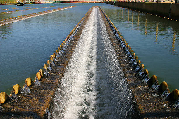 Economía circular es clave para hacer frente a escasez de agua
