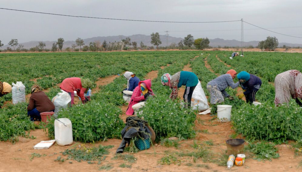 Agua y sistemas alimentarios: claves en un mundo pospandemia