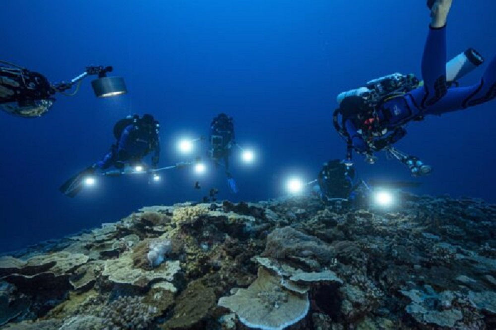 En Tahití descubren uno de los arrecifes de coral más extensos del mundo