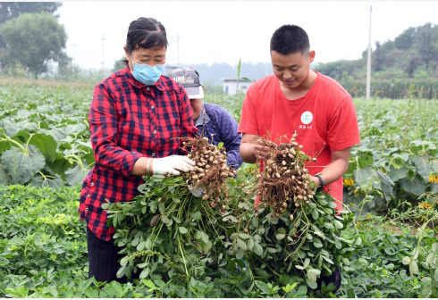 Científicos chinos logran nuevos éxitos en estudio de genoma de soya