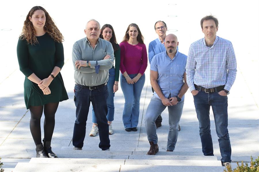 Identifican un mecanismo que puede ser esencial para regenerar órganos