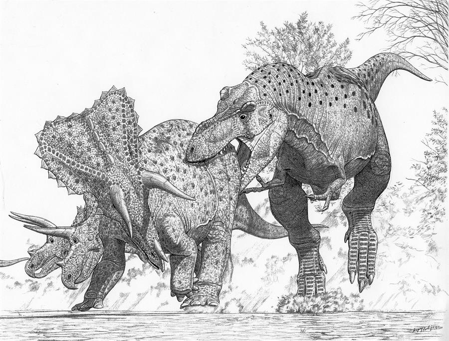 El Tyrannosaurus rex no sería el único de su especie