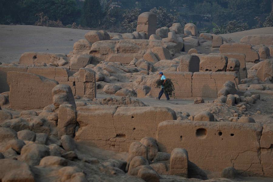 Descubren figuras enormes de camélidos en complejo arqueológico en sur de Perú