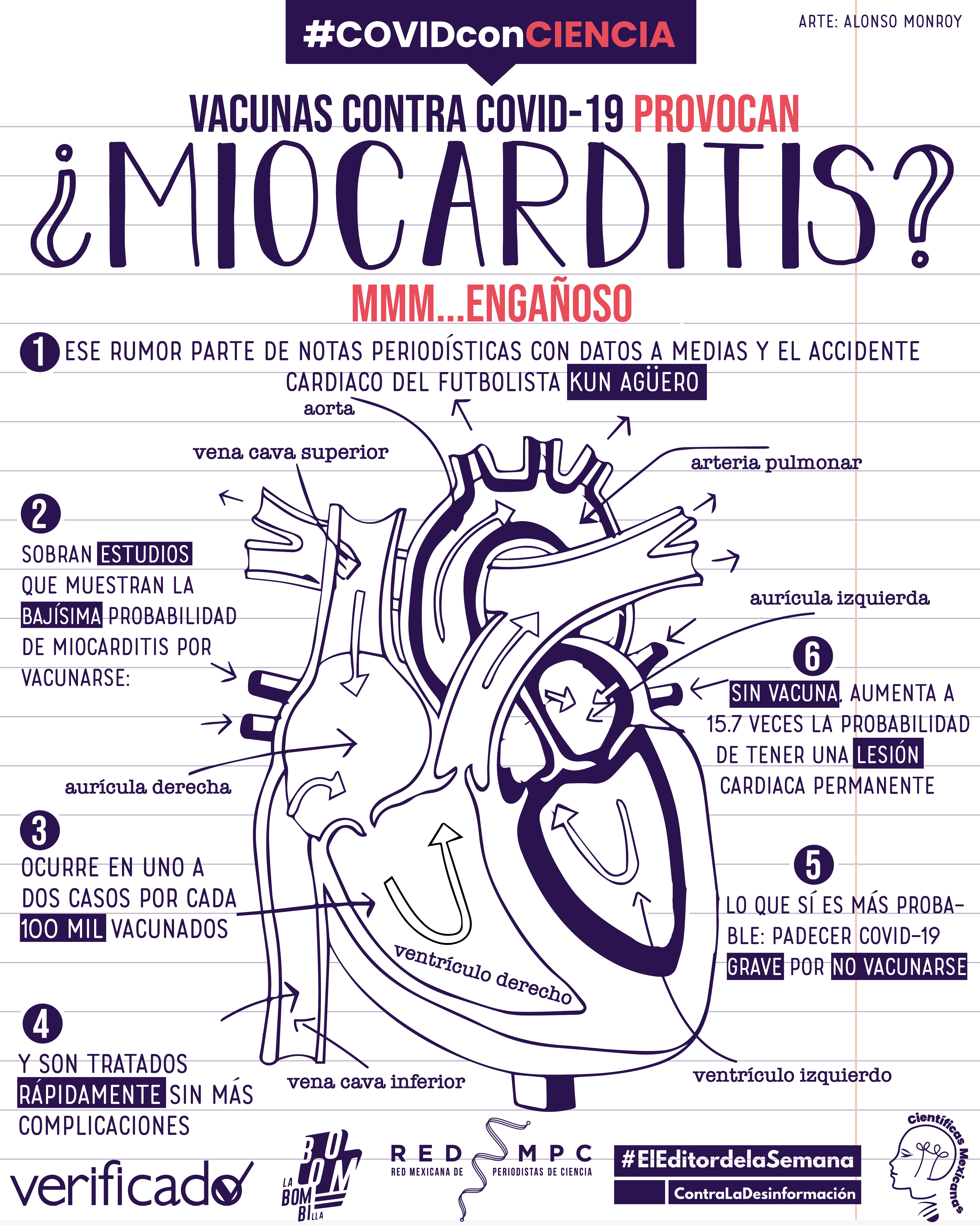 La miocarditis no es un efecto significativo de las vacunas, pero de COVID-19, sí