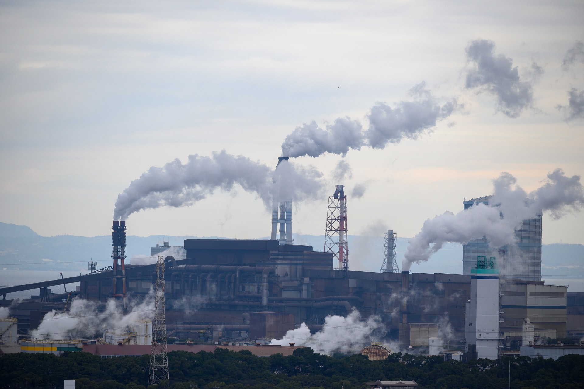 La destrucción de la naturaleza amenaza la estabilidad económica