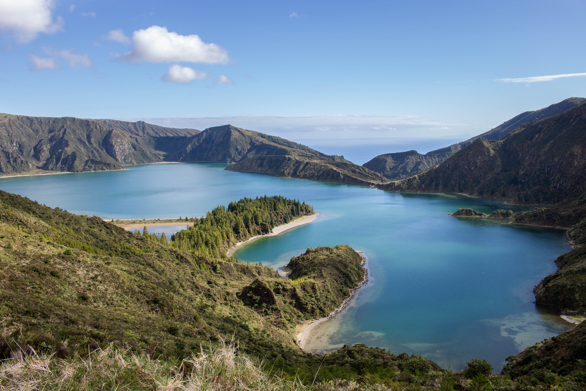 Proteger el 30% del planeta es solo el inicio para salvar la naturaleza