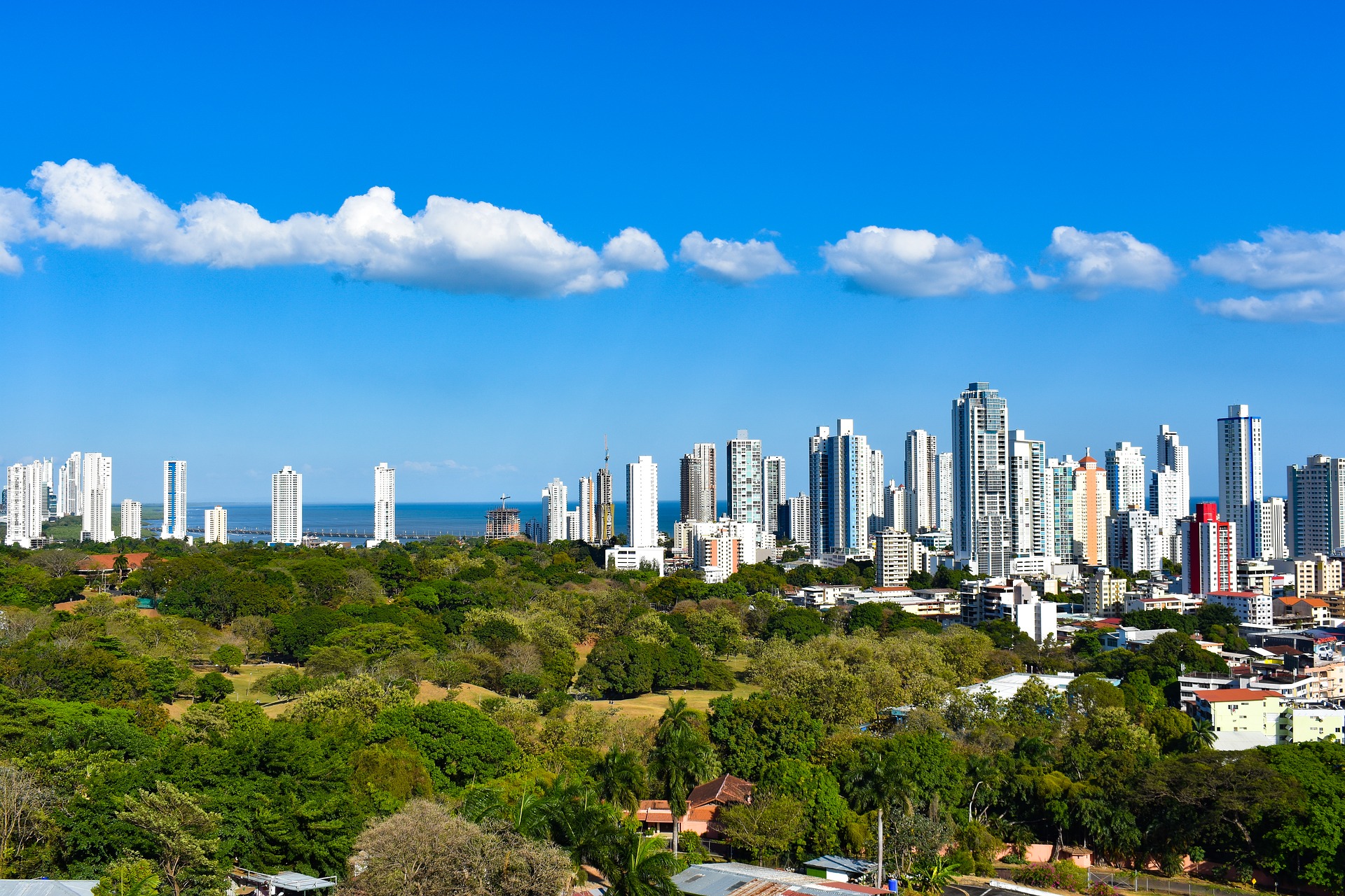 Manglares de Panamá, un amenazado «resort» para las aves migratorias de América