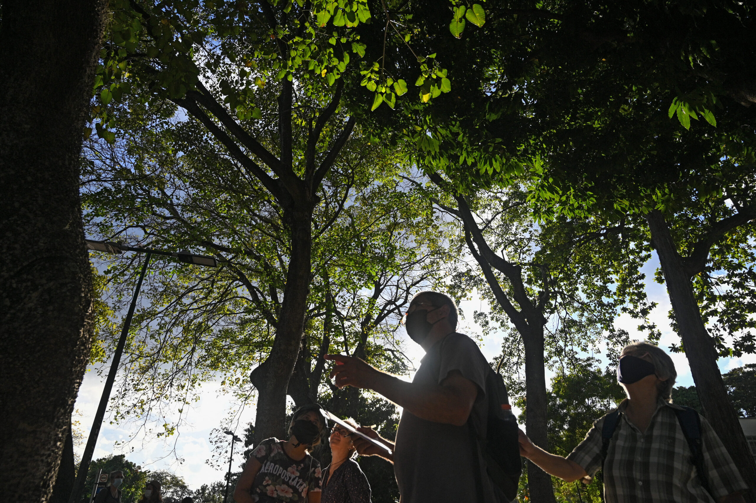 Caracas, una ciudad verde amenazada por la tala