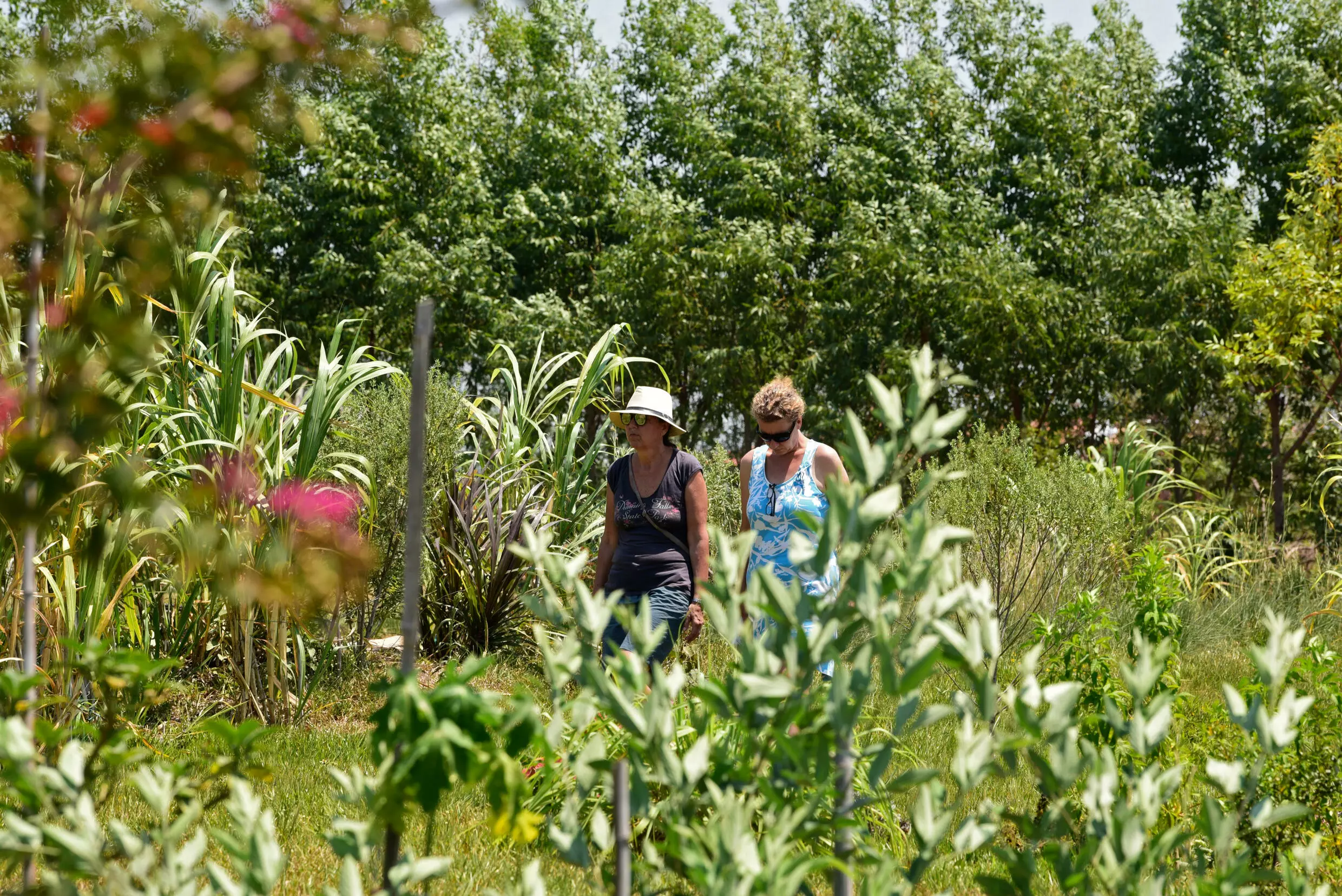 «Paraíso verde», controvertido refugio en Paraguay de europeos antivacunas