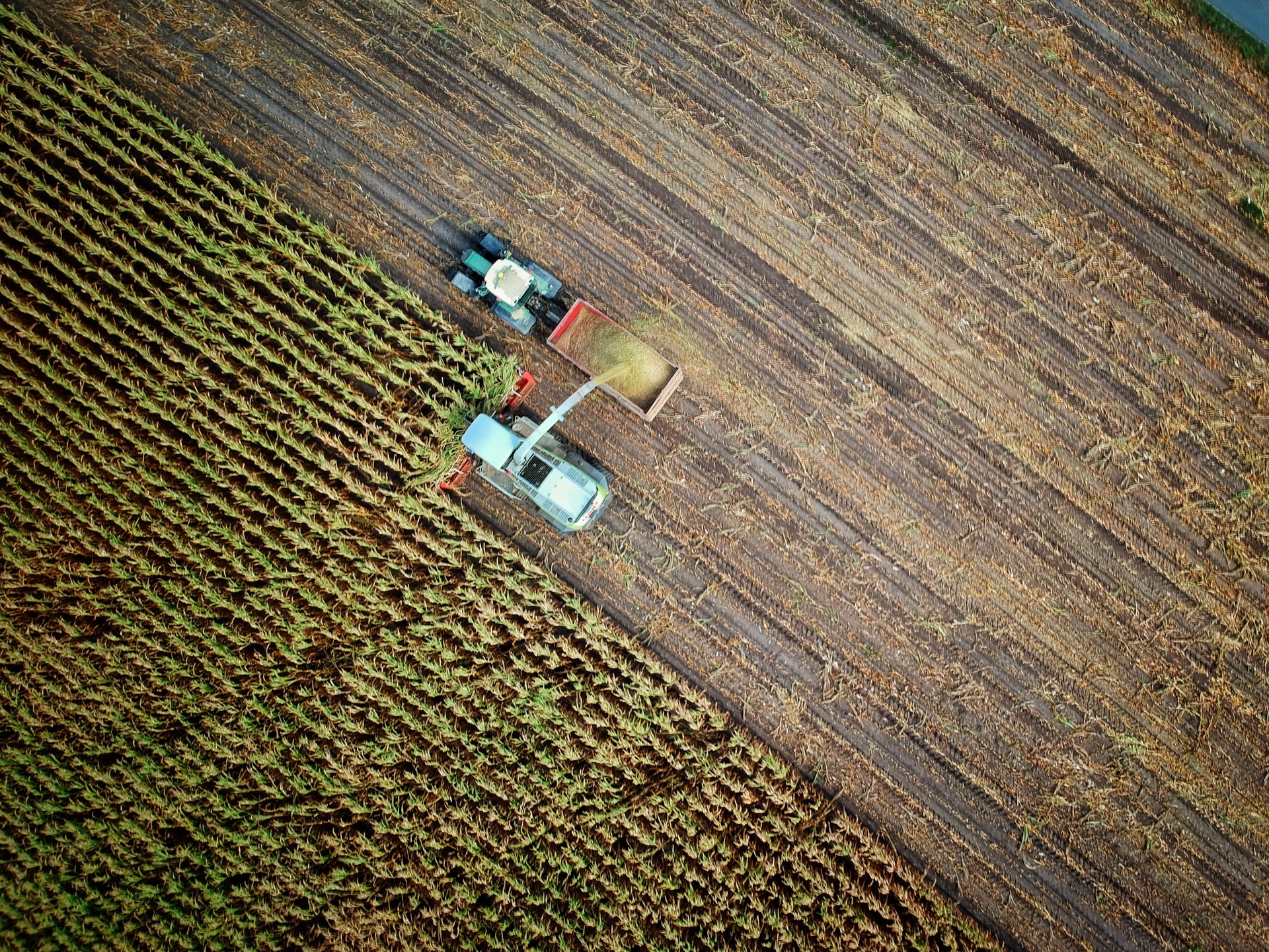 Un centro de investigación busca mejorar la producción agrícola con tecnología