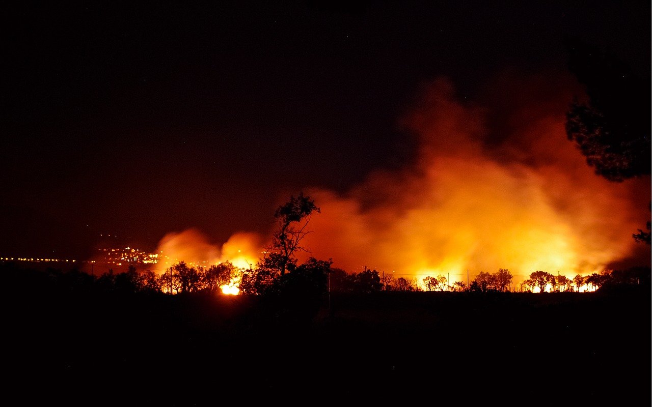 La ONU advierte un aumento significativo de incendios forestales en el mundo