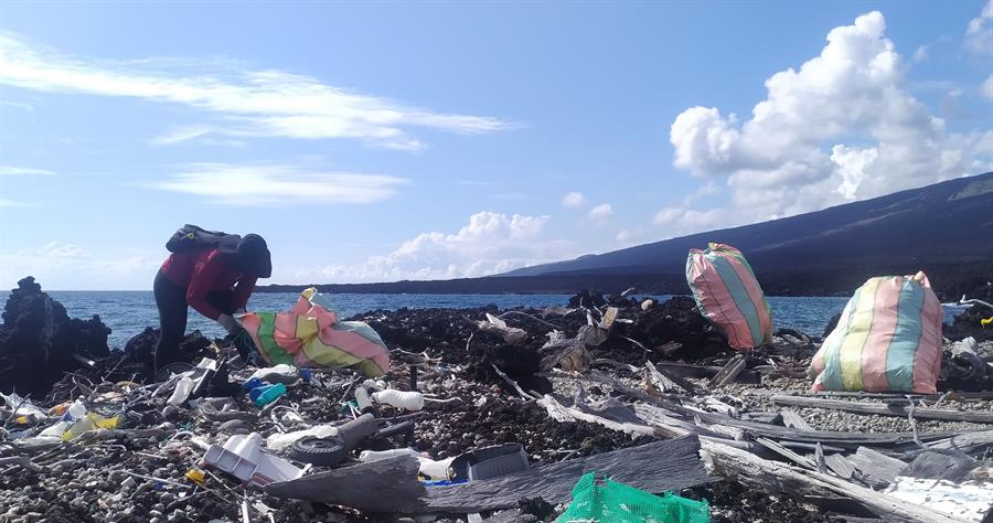 Recogen 3,6 toneladas de basura durante limpieza de isla alejada de Galápagos