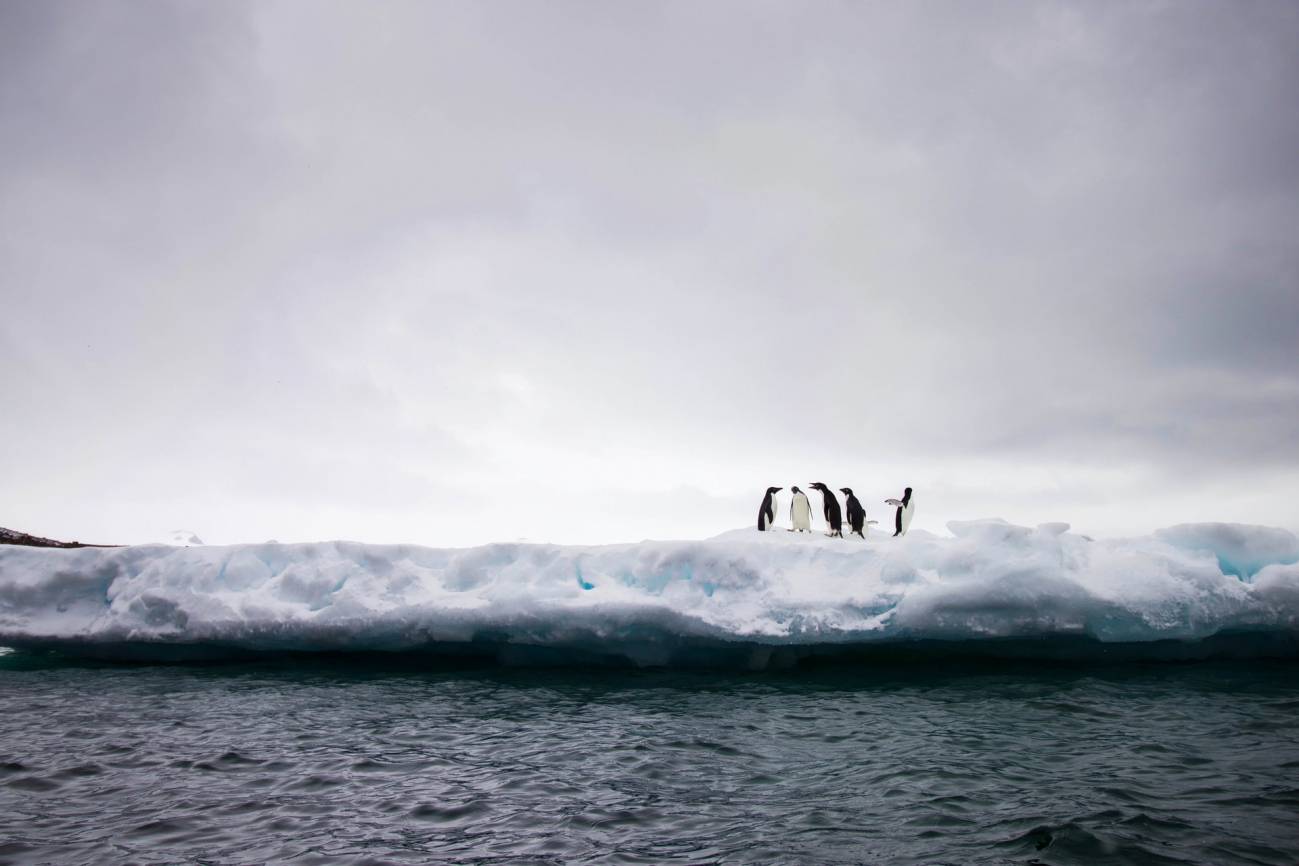 La superficie de hielo marino antártico alcanza un nuevo mínimo histórico