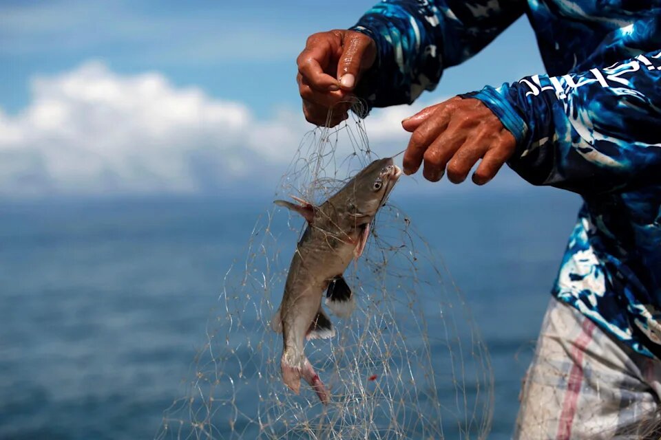 La Cordillera de Coiba en Panamá, laboratorio de pesca sostenible en el Pacífico