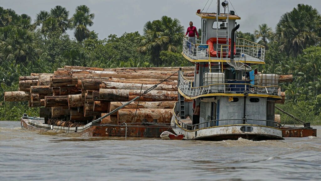 Deforestación en Amazonía brasileña baja en marzo, pero registra récord trimestral