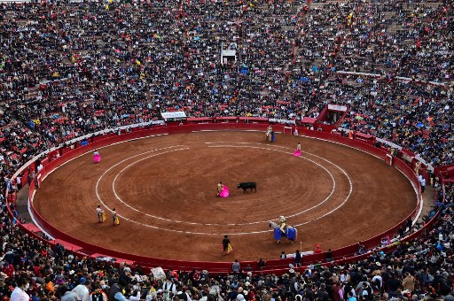 Juez suspende provisionalmente corridas de toros en mayor plaza de México