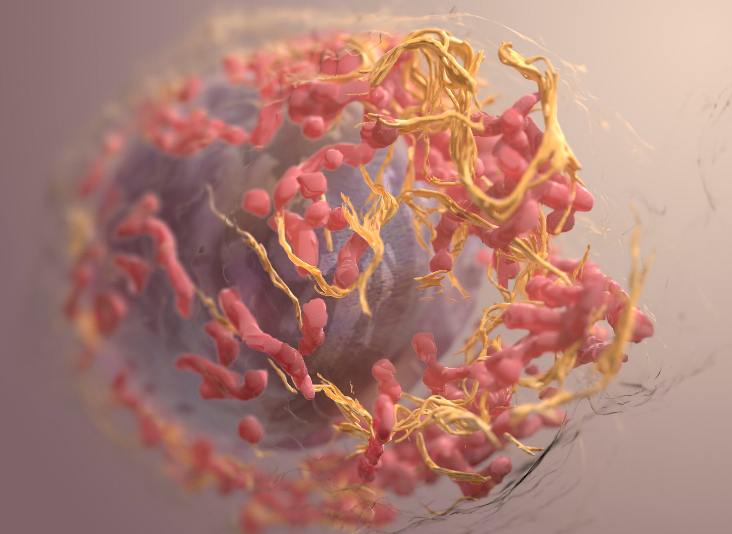 Un tratamiento con anticuerpos reduce el crecimiento de tumores