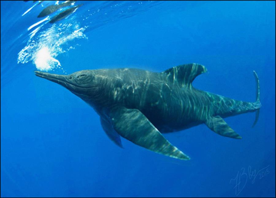 Encuentran en un glaciar de Chile a «Fiona», el primer ictiosaurio completo